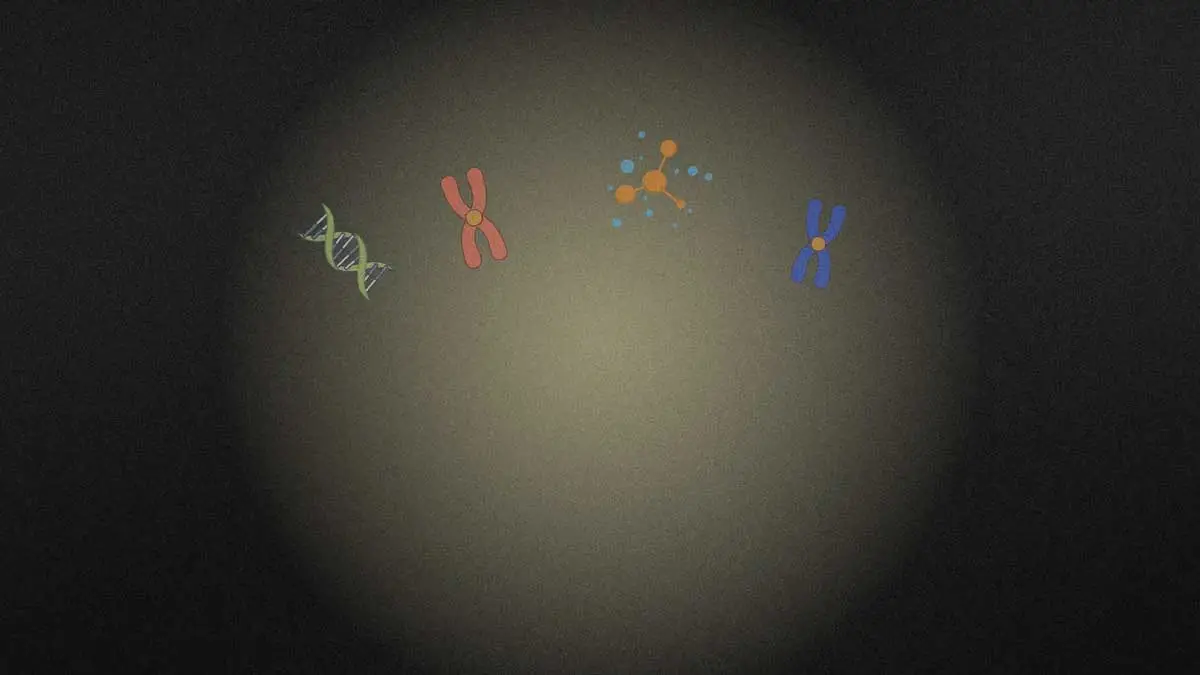 Background 2