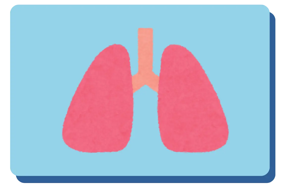 Lung