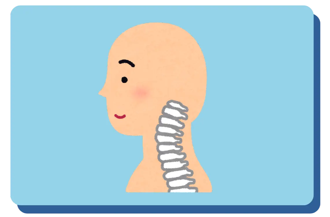 Spine